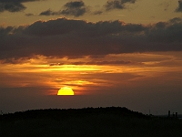PICT0478 web.jpg
